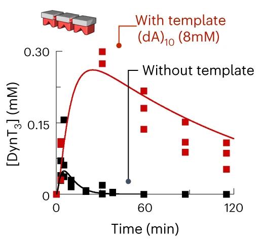 Open access visualization of Line Plot, Scatter Plot, Oligomers, Concentration, Template