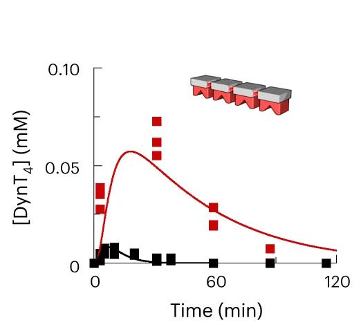 Open access visualization of Line Plot, Scatter Plot, Oligomers, Concentration, Template