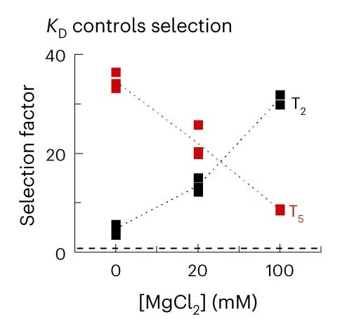 Open access visualization of Scatter Plot, Line Plot, Selection Factor, Oligomers, MgCl2 Concentration