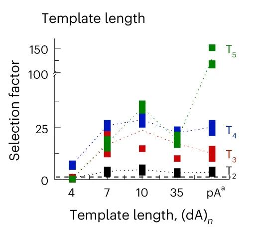 Open access visualization of Bar Plot, Line Plot, Selection Factor, Oligomers, Template Length