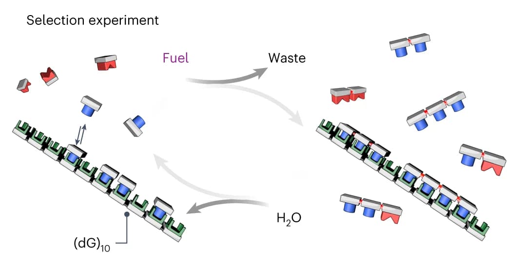 Open access visualization of Workflow, Illustration, Chemical Reaction, Oligomers, Monomers