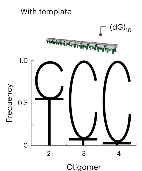 Open access visualization of Bar Plot, Sequence Logo, Oligomers, Templates