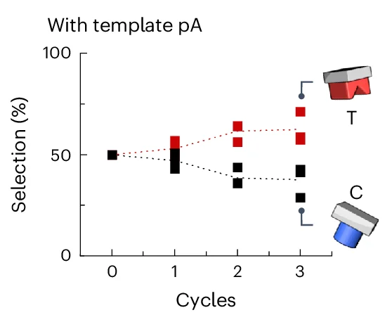 Open access visualization of Line Plot, Scatter Plot, Coacervate Phase, Thymine, Cytosine