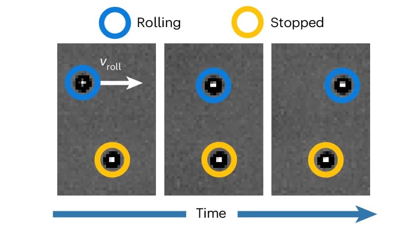 Open access visualization of Microscopy, Brightfield Microscopy, Rolling Particle, Stopped Particle
