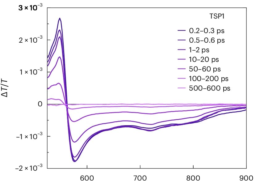 Open access visualization of Line Plot, Transient Absorption Spectra, TSP1, Toluene