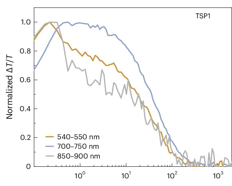 Open access visualization of Line Plot, Extracted Kinetics, TSP1, Toluene