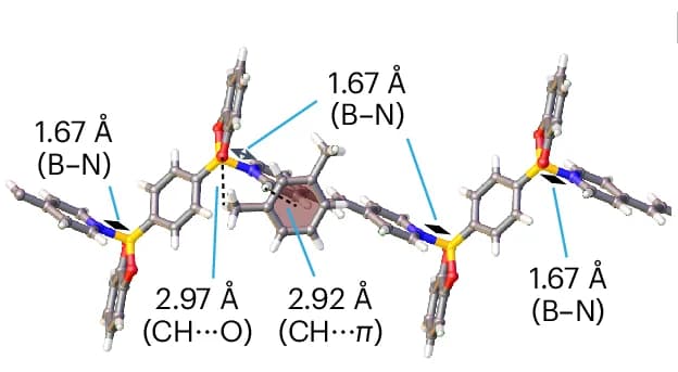 Open access visualization of Chemical Structure, Solvent Molecules, Polymer Chains, Dative B-N Bonds, NWPN-1