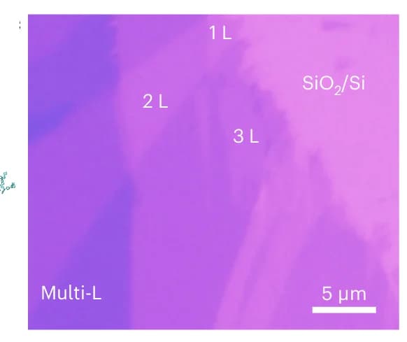 Open access visualization of Microscopy, Optical Microscopy, Monolayer, Bilayer, Trilayer