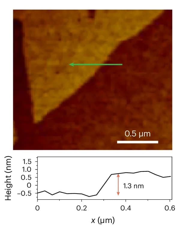Open access visualization of Line Plot, AFM, Monolayer, 2DWPN-1, Flakes