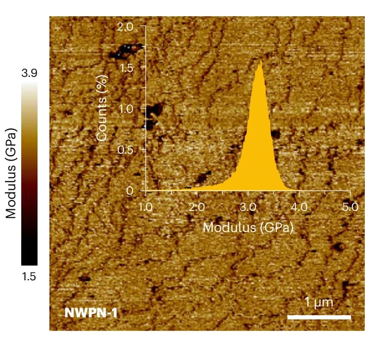 Open access visualization of Microscopy, Histogram, Derjaguin-Muller-Toporov Moduli, NWPN-1, Distribution