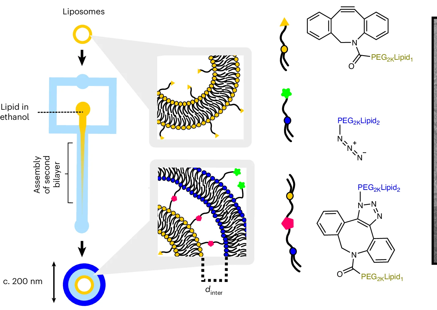 Open access visualization of Workflow, Illustration, Chemical Structure, Click Chemistry, Microfluidic Synthesis