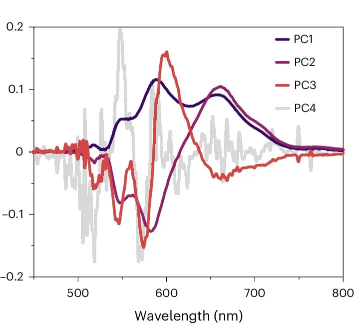 Open access visualization of Line Plot, Eigenvectors, Principal Components