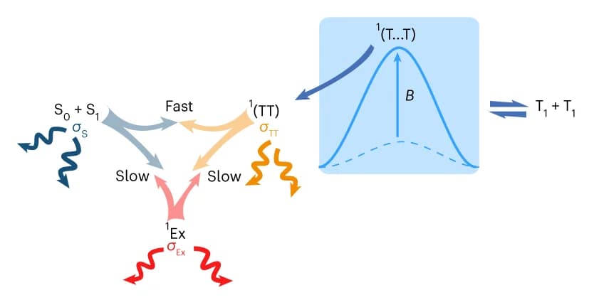 Open access visualization of Workflow, Illustration, Line Plot, Kinetic Scheme, Singlet Fission