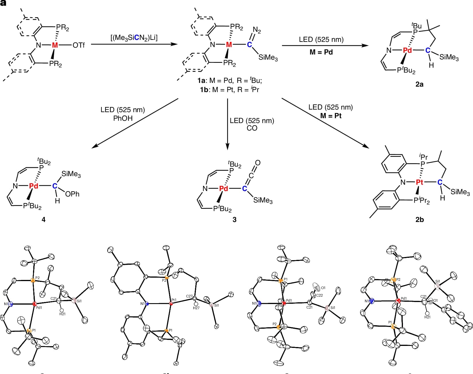 Open access visualization of Workflow, Chemical Structure, Molecular Structures, Ellipsoid Probability, Carbene Insertion