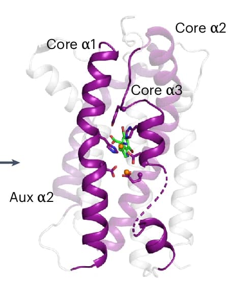 Open access visualization of Protein Structure, 3D Plot, Chemical Structure, Substrate, Cofactor