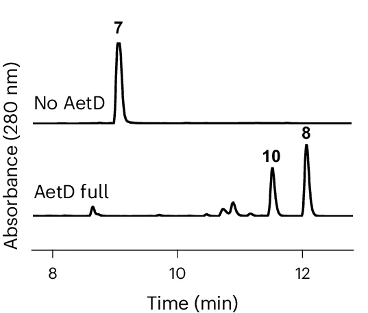 Open access visualization of Line Plot, Liquid Chromatography, AetD, Reaction Assay, Shunt Product