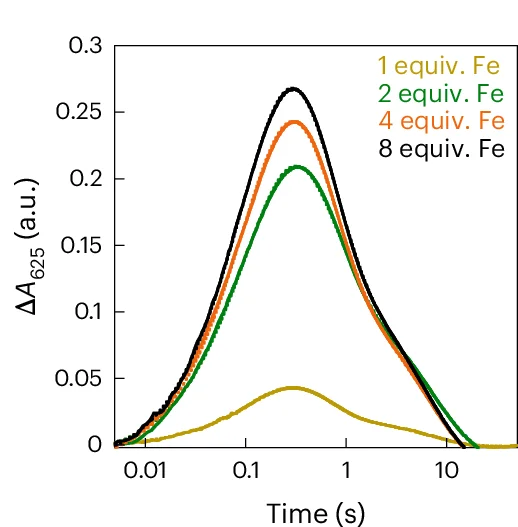 Open access visualization of Line Plot, Kinetic Traces, Intermediate, Absorption Maxima, Fe(II)