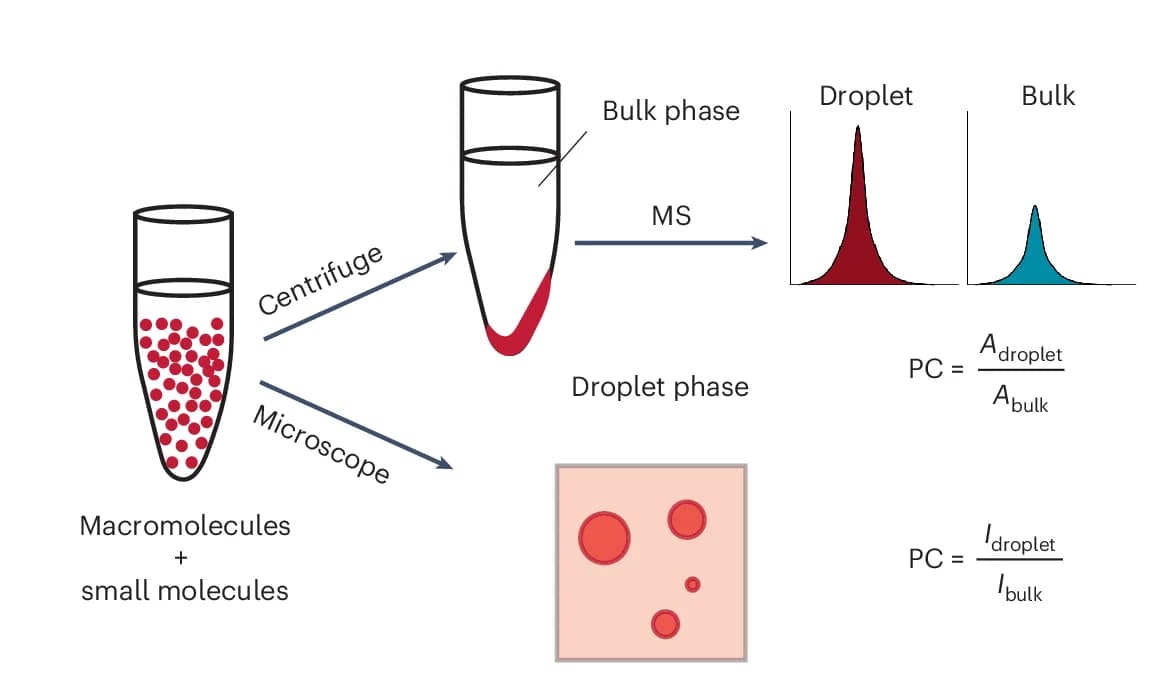 Open access visualization of Workflow, Microscopy, Line Plot, Small-Molecule Partitioning, Condensates