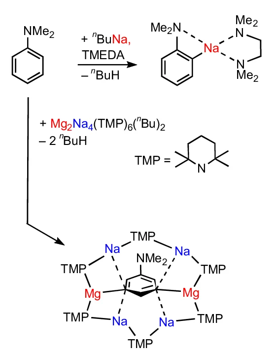 Open access visualization of Chemical Structure, Deprotonation, Metallation, N, N-dimethylaniline, TMEDA