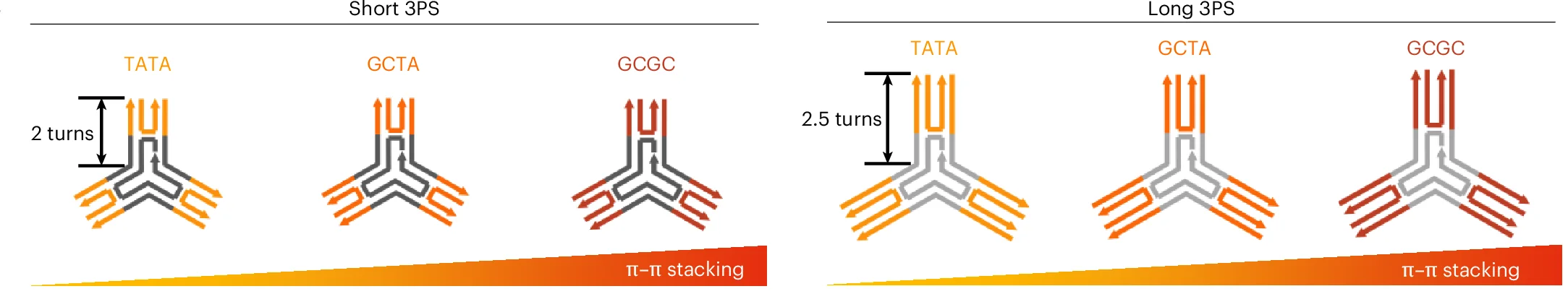 Open access visualization of Illustration, Chemical Structure, 3PS Library, Monomer, Arm Length