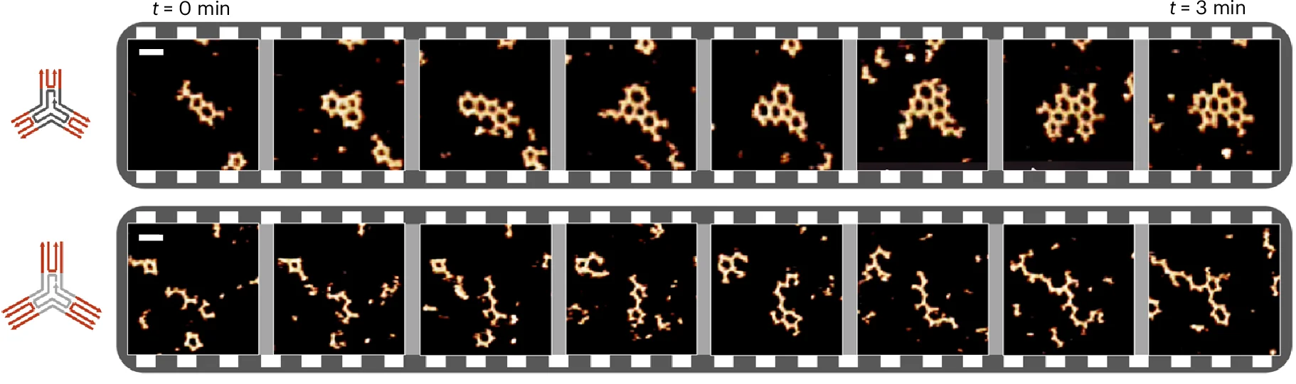 Open access visualization of Microscopy, Illustration, Self-Assembly, Nucleation, AFM