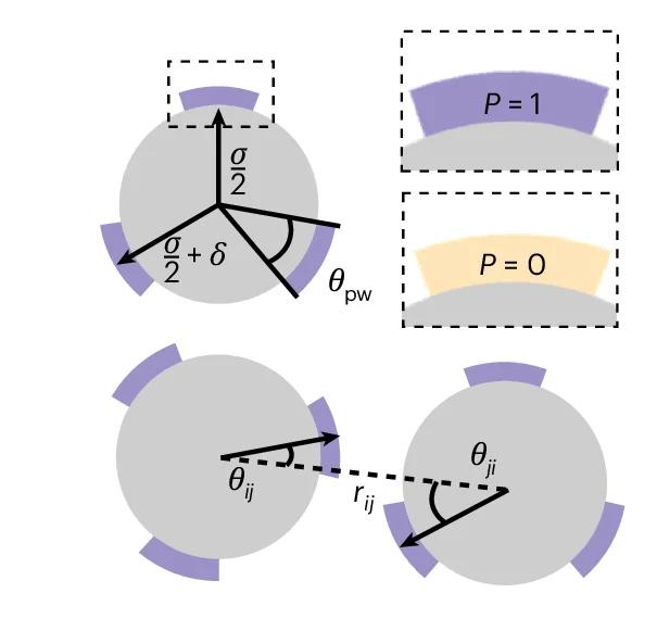Open access visualization of Illustration, Patchy-Particle Model, Monte Carlo Simulations, Patch State, Kern-Frenkel Model