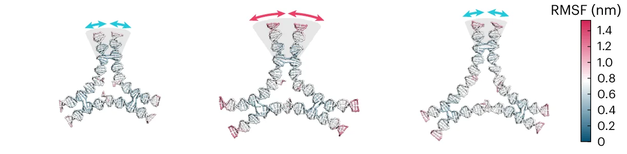 Open access visualization of Protein Structure, Heatmap, oxDNA simulations, 3PS, RMSF