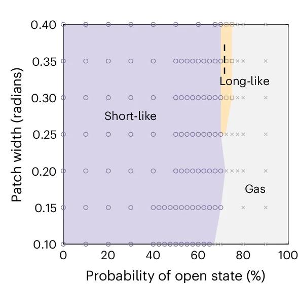 Open access visualization of Scatter Plot, Phase Diagram, Open State, Patch Width