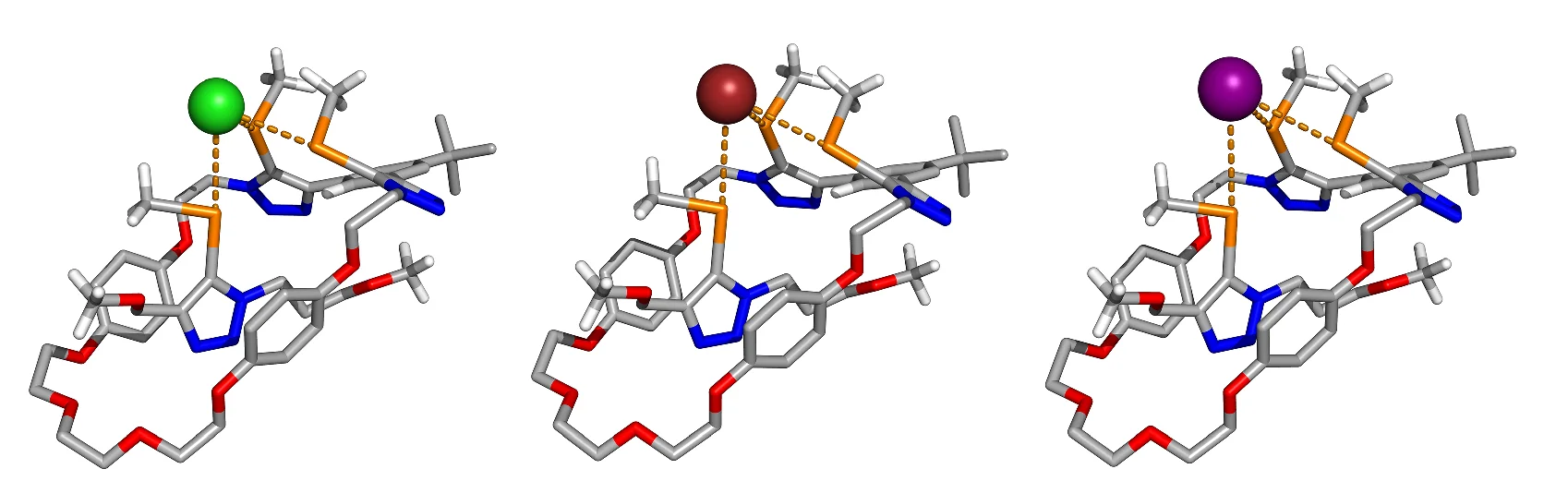 Open access visualization of Chemical Structure, Optimized Structures, Chloride, Bromide, Iodide