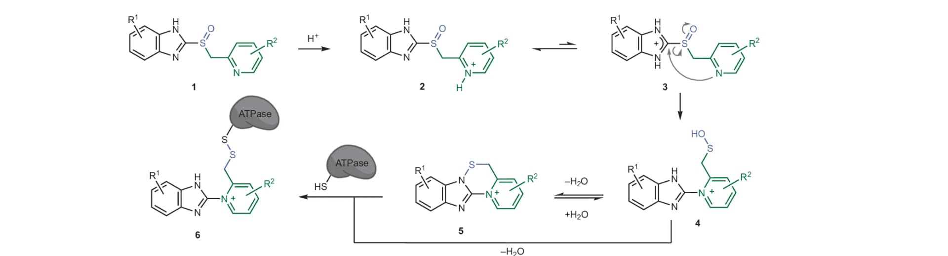 Open access visualization of Workflow, Flowchart, Illustration, Chemical Structure, PPIs