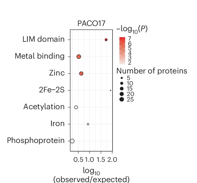 Open access visualization of Scatter Plot, Bubble Plot, STRING Database Categories, Target Proteins, PACO17 Cells