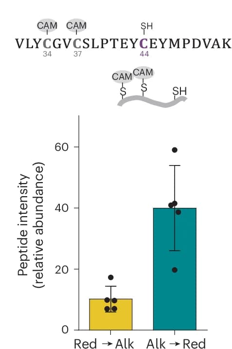 Open access visualization of Bar Plot, Error Bars, Scatter Plot, Tryptic Peptide, Alkylated Form