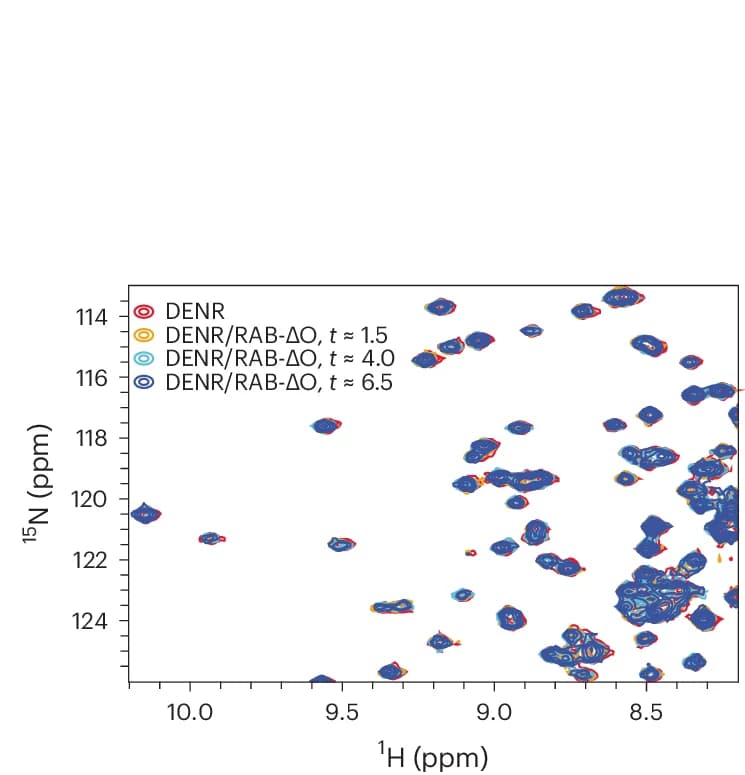Open access visualization of Scatter Plot, 2D 1H–15N HSQC Spectrum, DENR 26-98 –MCTS1 Complex, Rabeprazole Thioether
