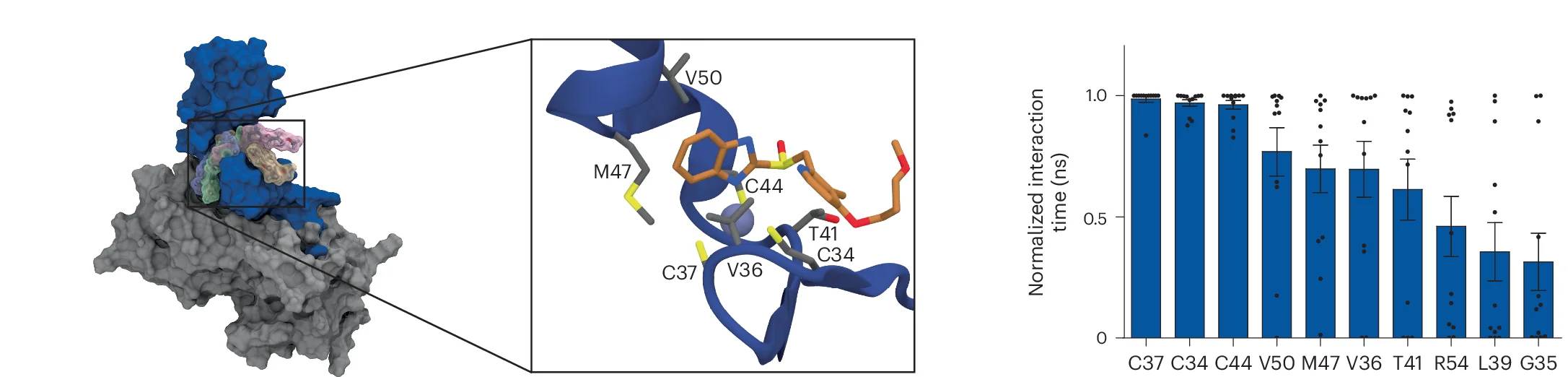 Open access visualization of Protein Structure, Bar Plot, Error Bars, Hydrophobic Interactions, Rabeprazole