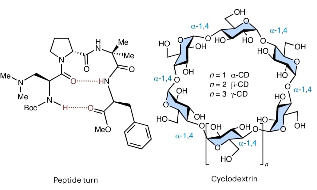 Open access visualization of Chemical Structure, Folded Oligomers, Catalysis