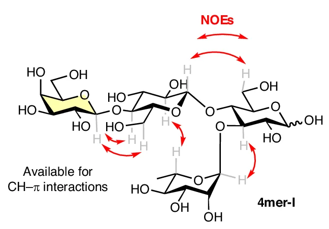 Open access visualization of Chemical Structure, NOESY NMR, Nuclear Overhauser Effects, 4mer-I, Turn Motif