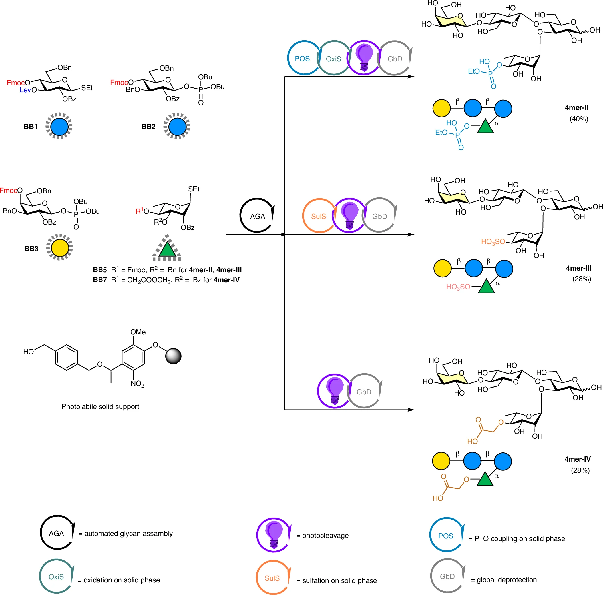 Open access visualization of Workflow, Flowchart, Illustration, Chemical Structure, Glycan Structures