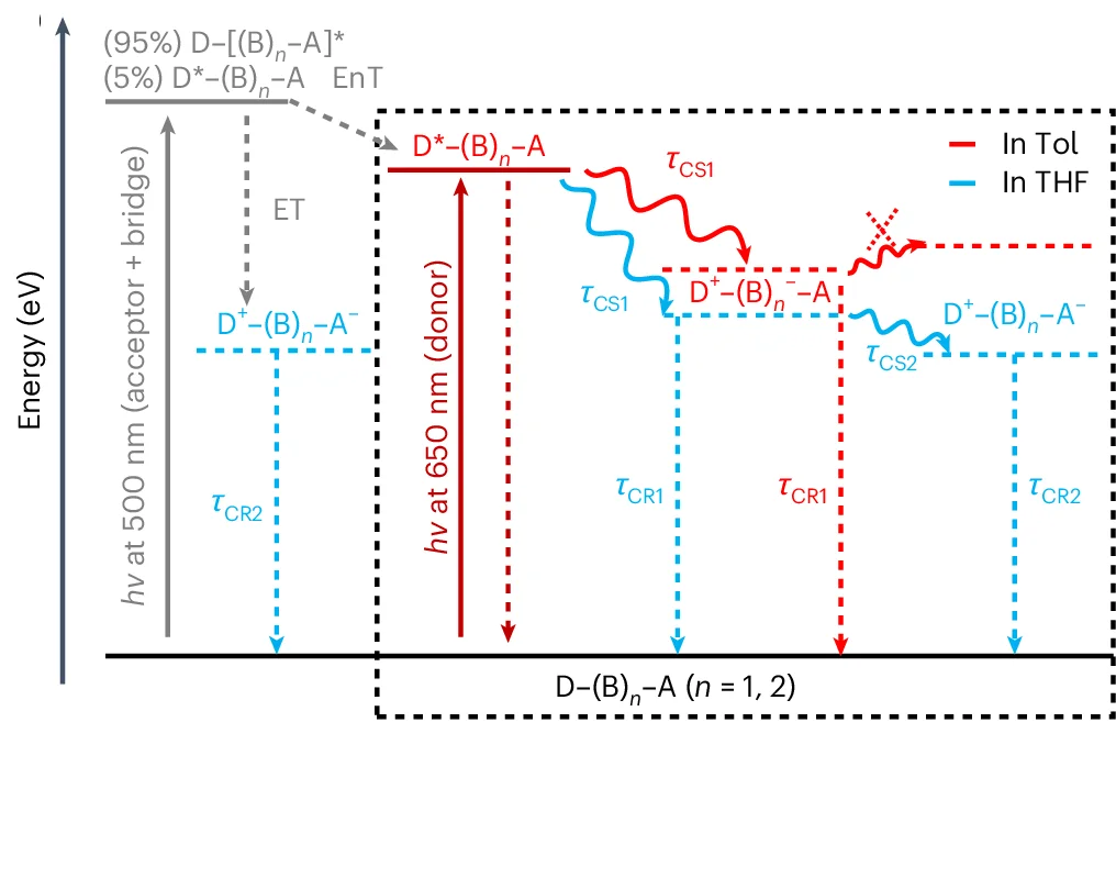 Open access visualization of Workflow, Flowchart, Energy Levels, Deactivation Pathways, Electronic States