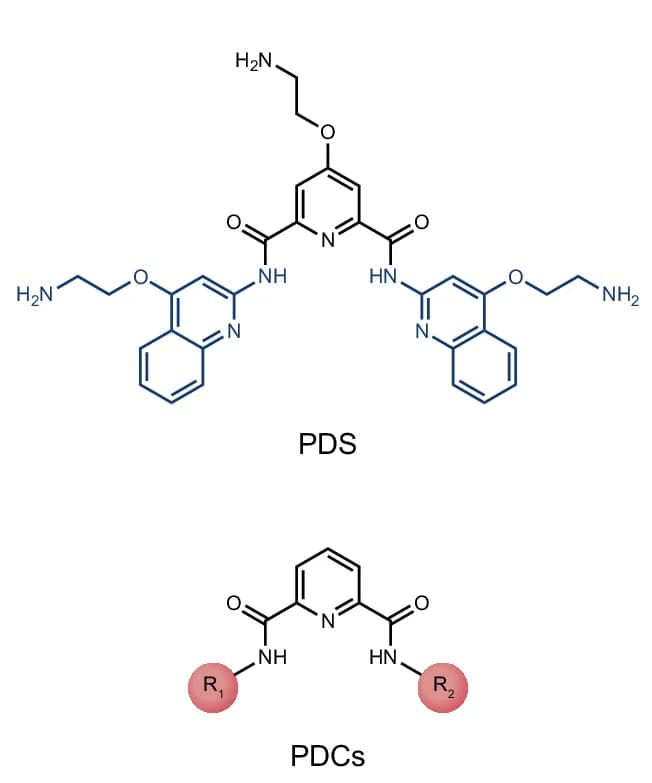 Open access visualization of Chemical Structure, Chemical Structures, PDS, PDC, N-Heterocycles