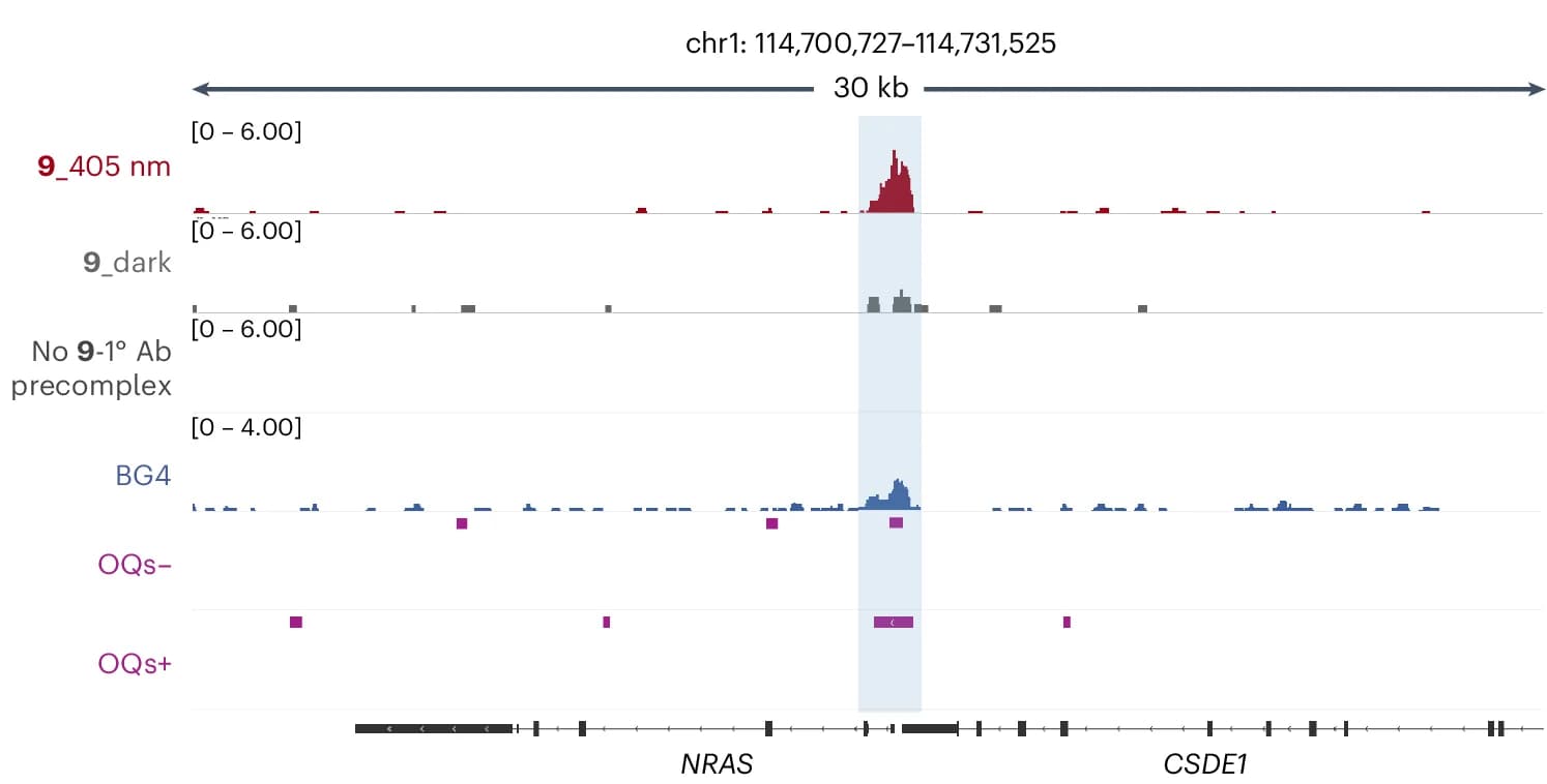 Open access visualization of Line Plot, Error Bars, Genome browser views, Chem-map binding sites, G4-CUT&Tag