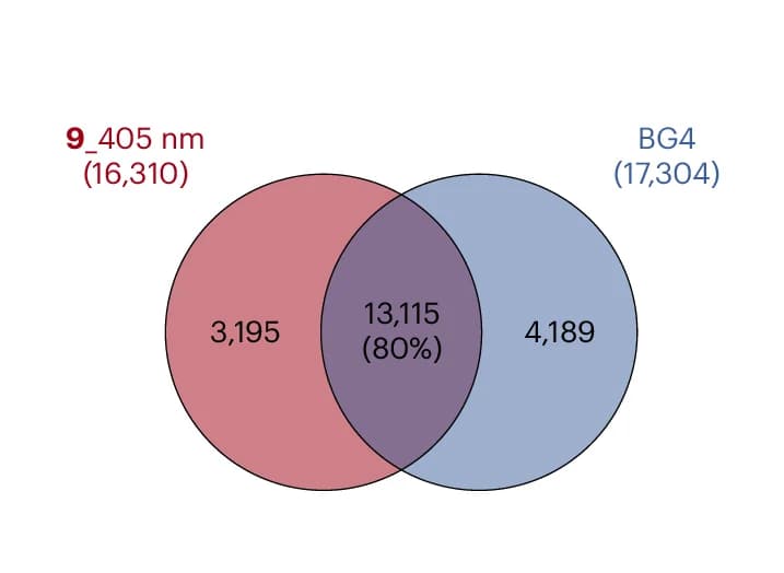 Open access visualization of Venn Diagram, Venn diagrams, Binding sites, trans-9, BG4