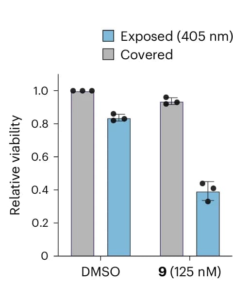 Open access visualization of Bar Plot, Error Bars, Clustered, Cell Viability, DMSO Treatment