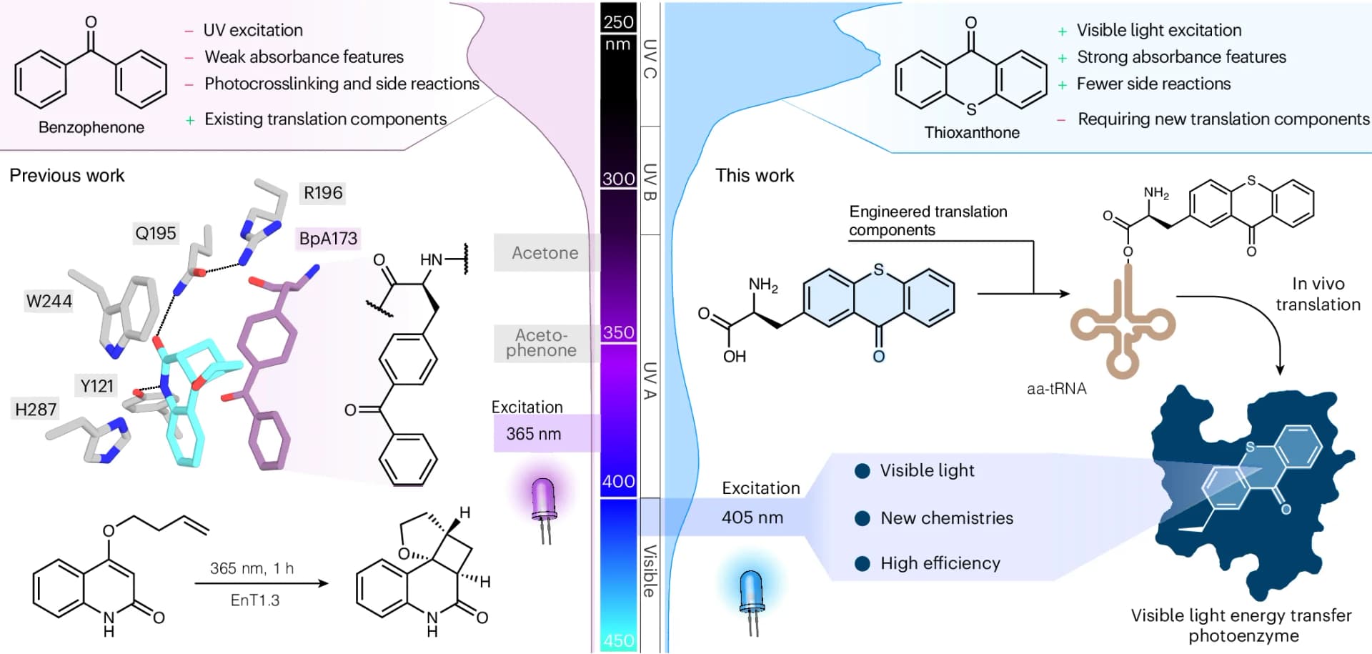 Open access visualization of Workflow, Illustration, Line Plot, Photoenzyme, Cycloadditions