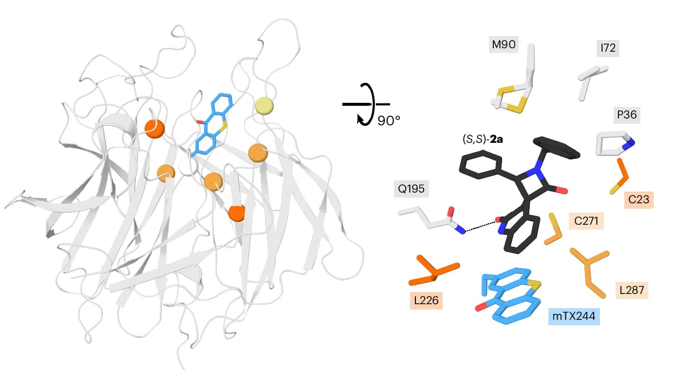 Open access visualization of Protein Structure, Chemical Structure, Crystal Structure, mTX Residue, Mutations