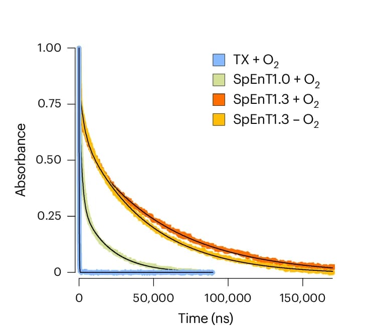 Open access visualization of Line Plot, Scatter Plot, Kinetic Transients, Triplet State, Thioxanthone
