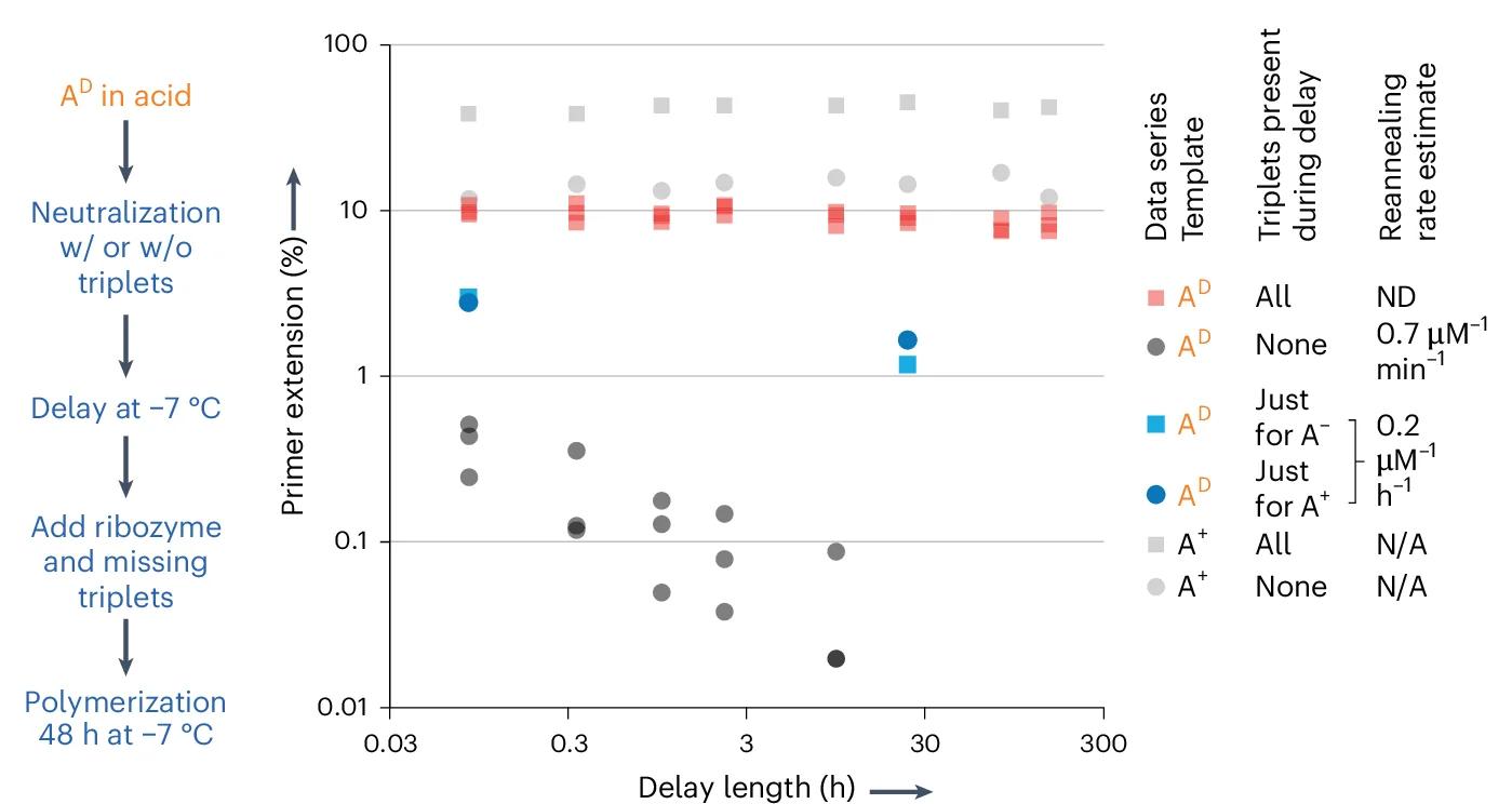 Open access visualization of Scatter Plot, Ribozyme, Triplet, Primer Addition, Neutralization