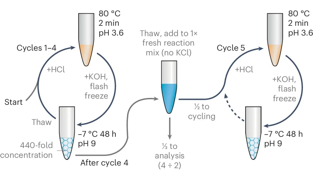 Open access visualization of Workflow, Flowchart, Illustration, Physicochemical Cycling, RNA Strand Separation