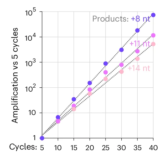 Open access visualization of Scatter Plot, Regression Plot, Amplification, Band Intensity, Exponential Fits