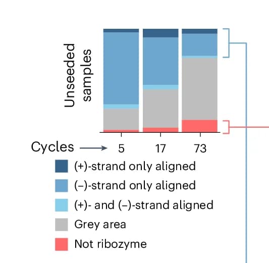 Open access visualization of Stacked Bar Plot, Sequence Classes, Amplification