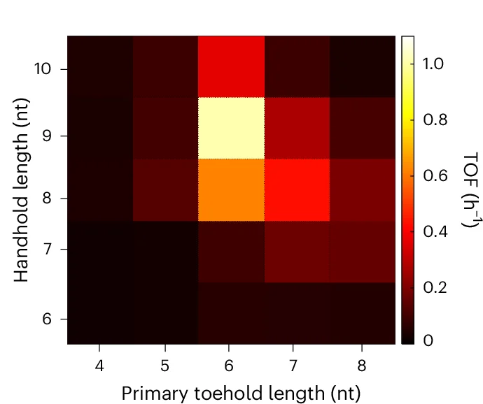 Open access visualization of Heatmap, Reaction Rate, Template, Toehold, Handhold